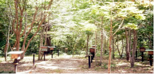 Escola da Floresta (PA) Escola da Floresta (PA)